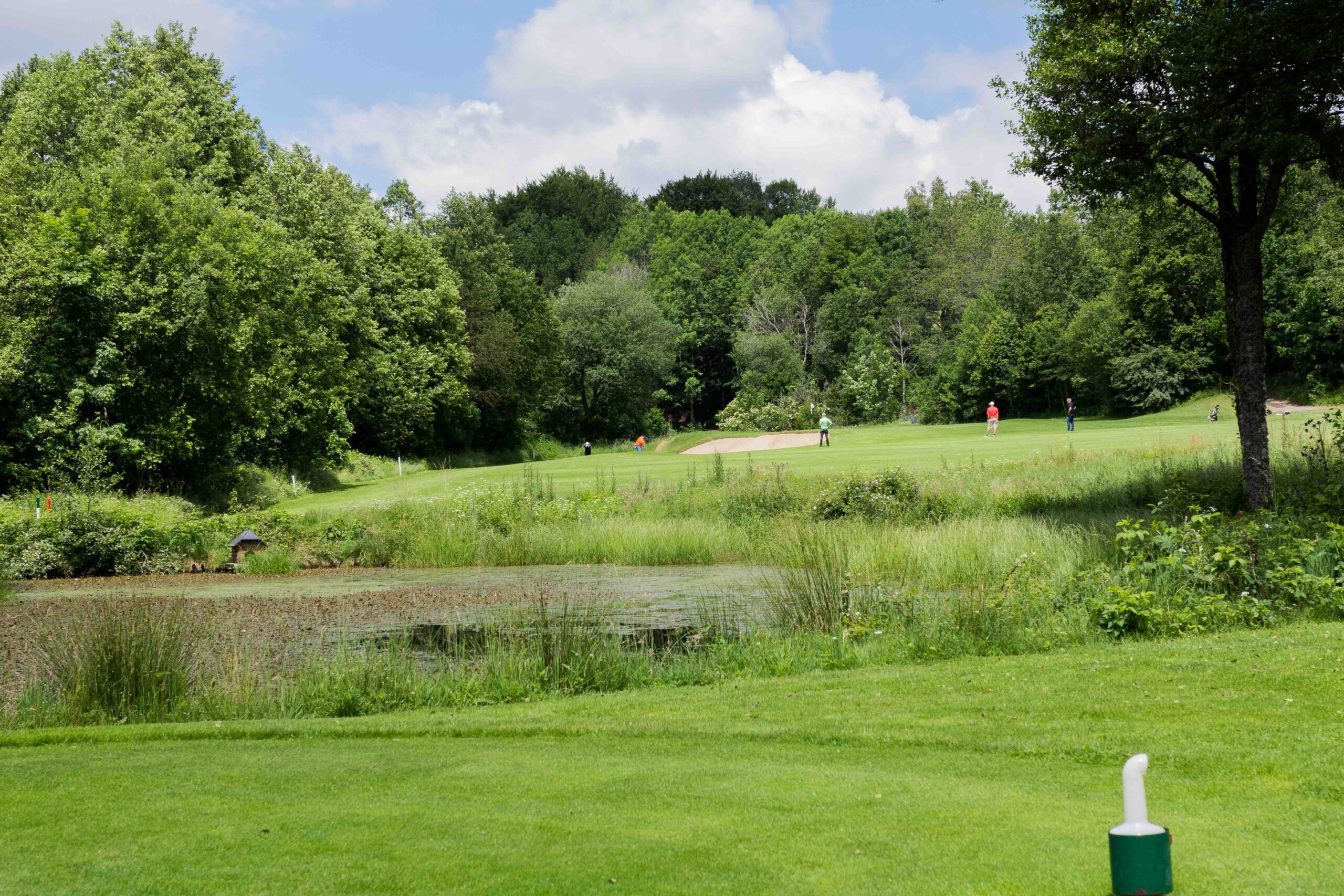 Golfclub Rickenbach